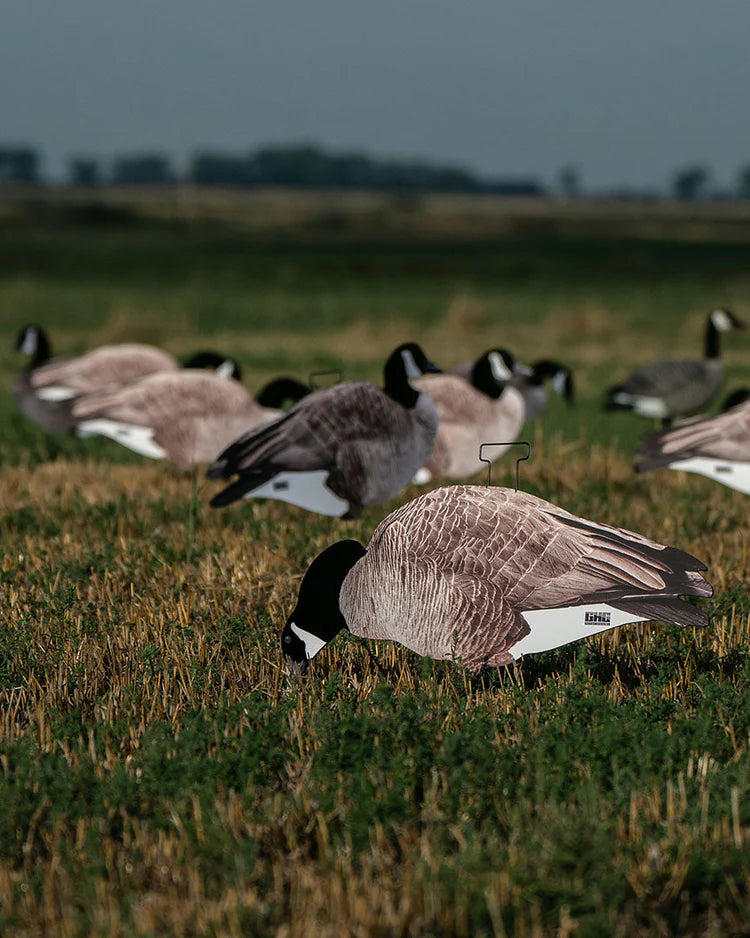 GHG Pro-Grade Flocked Head Canada Goose Silos