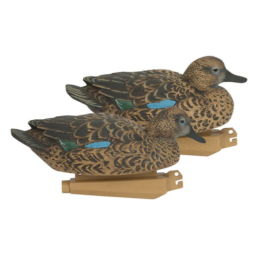 GHG Early Season Bluewing Teal Hen Pack - 6 pack