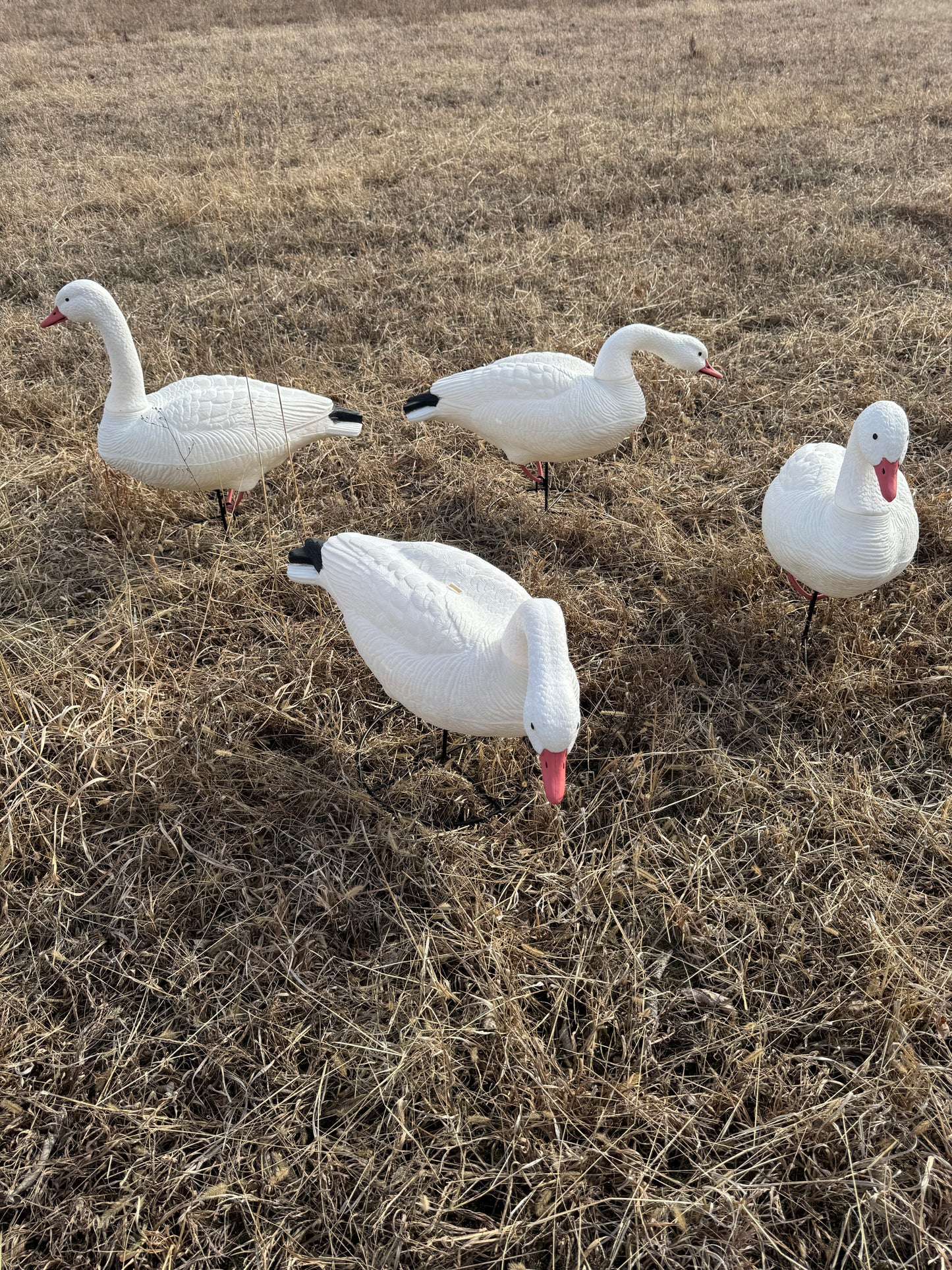 Super Blocks Full Body Snow Geese - 4 pack