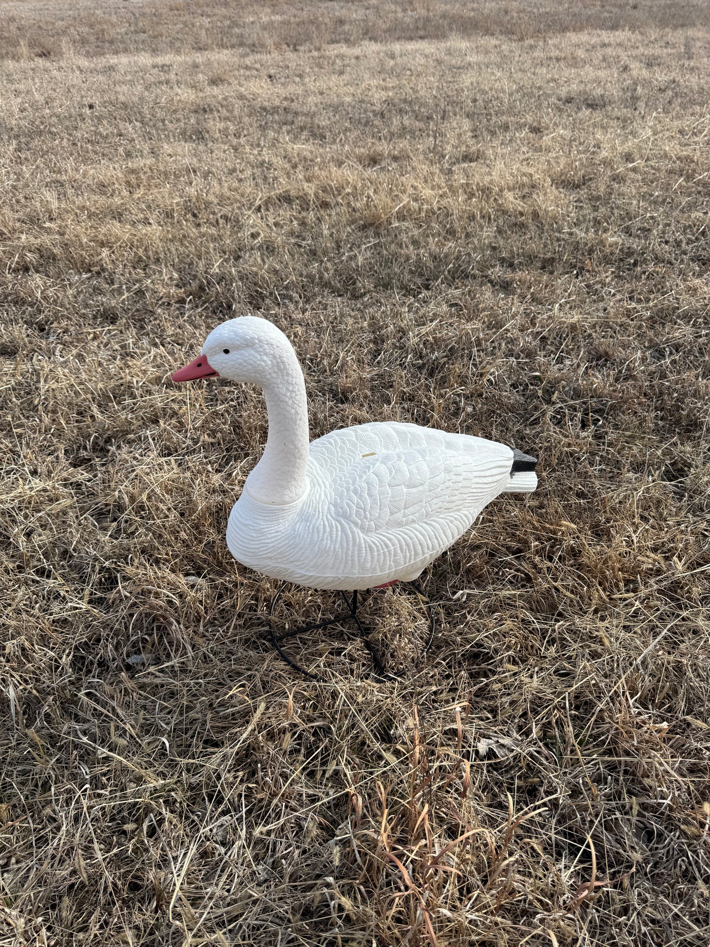 Super Blocks Full Body Snow Geese - 4 pack