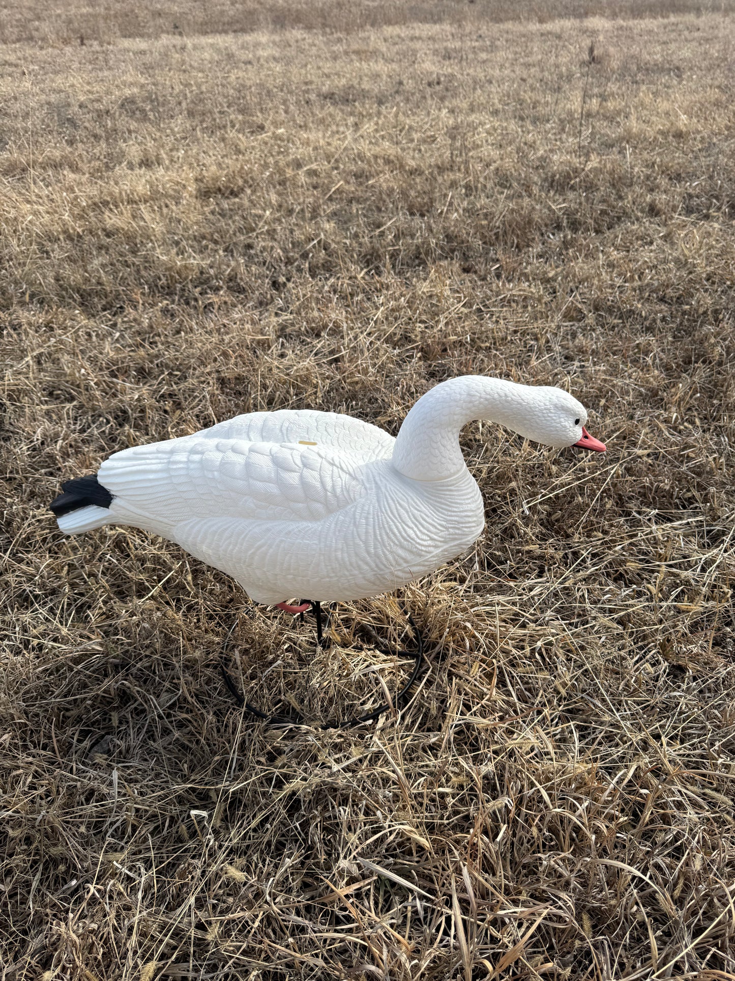 Super Blocks Full Body Snow Geese - 4 pack