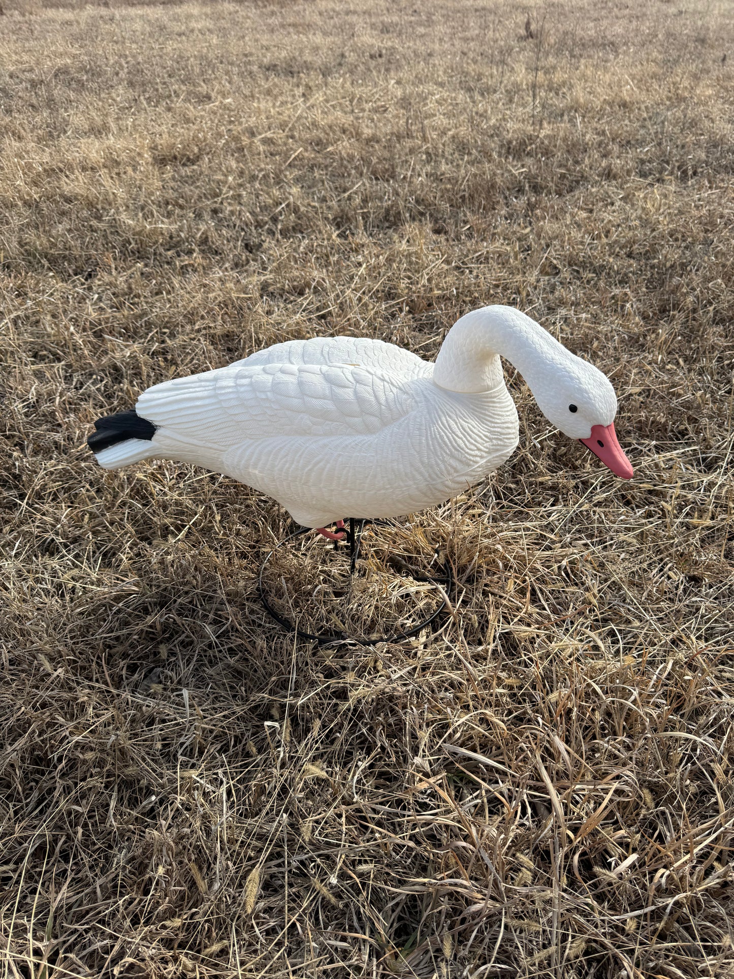 Super Blocks Full Body Snow Geese - 4 pack