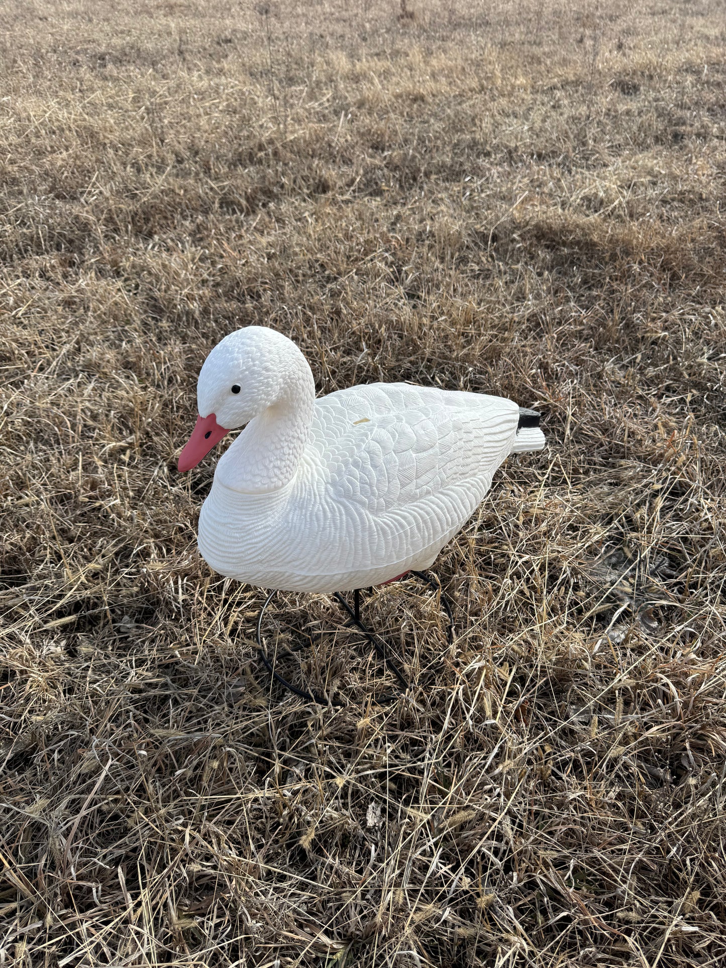 Super Blocks Full Body Snow Geese - 4 pack