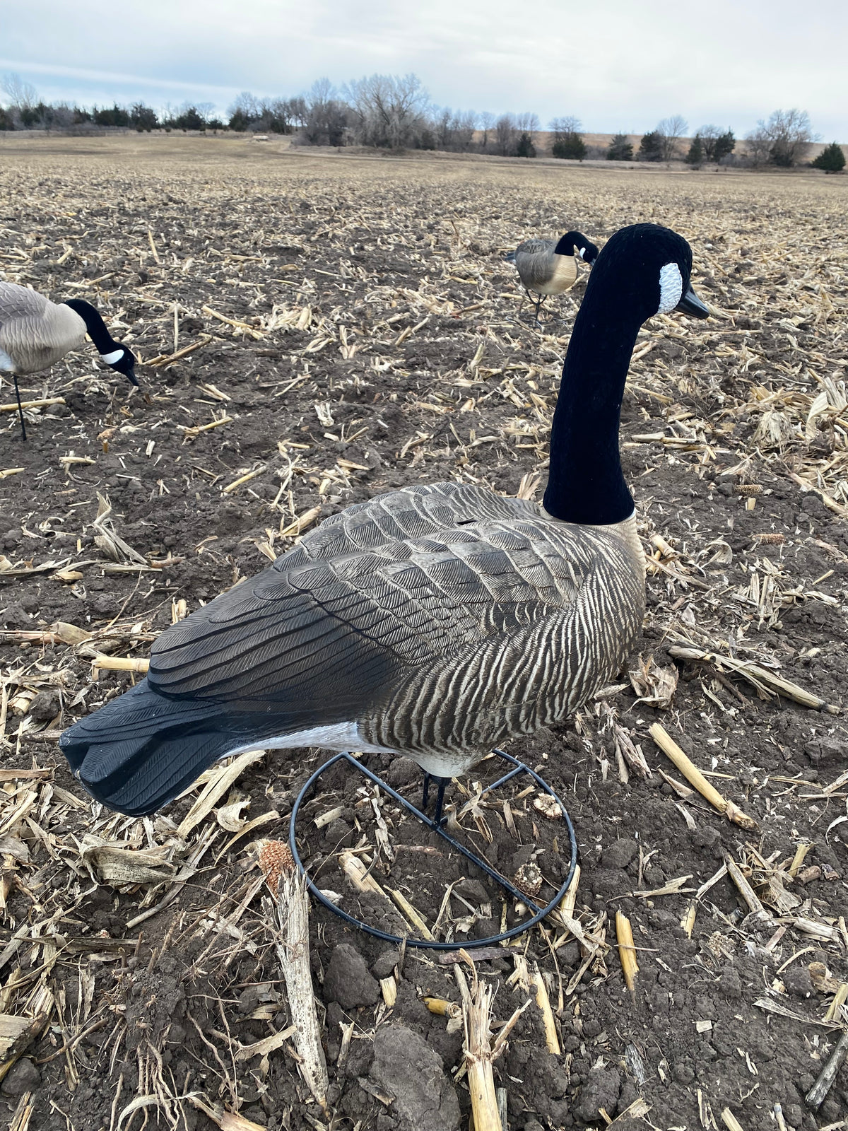 Super Blocks Flocked Full Body Canada Geese - 4 pack – Decoy Central