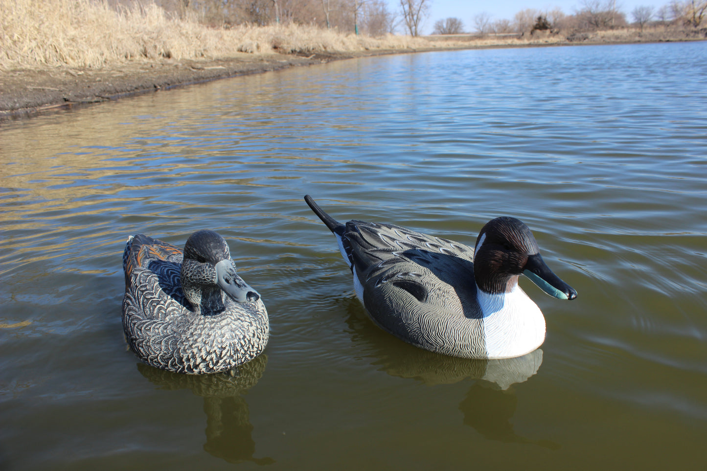 Pre-rigged Super Blocks Pintails - 12 pack