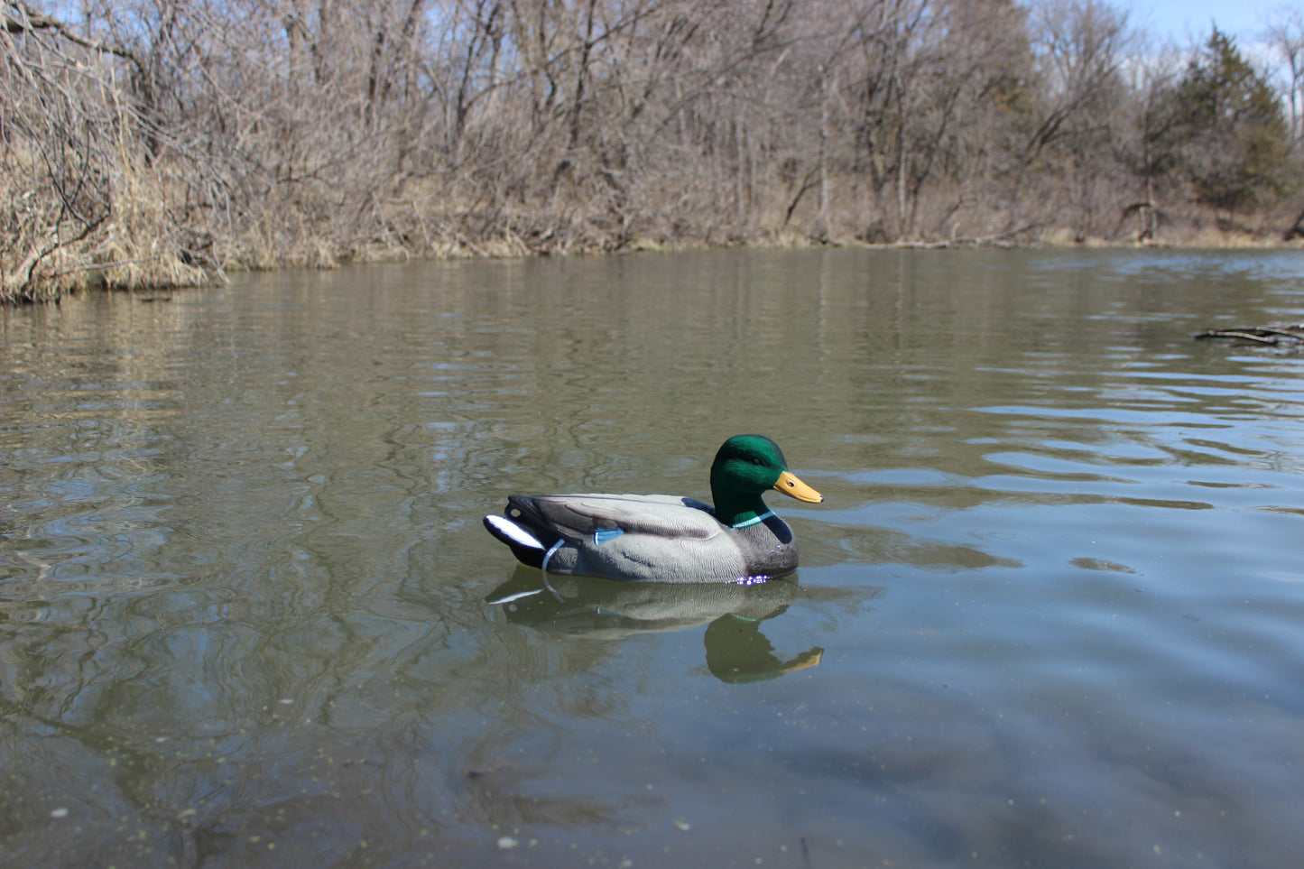 Super Blocks Flocked Head Mallard Floaters - 12 pack