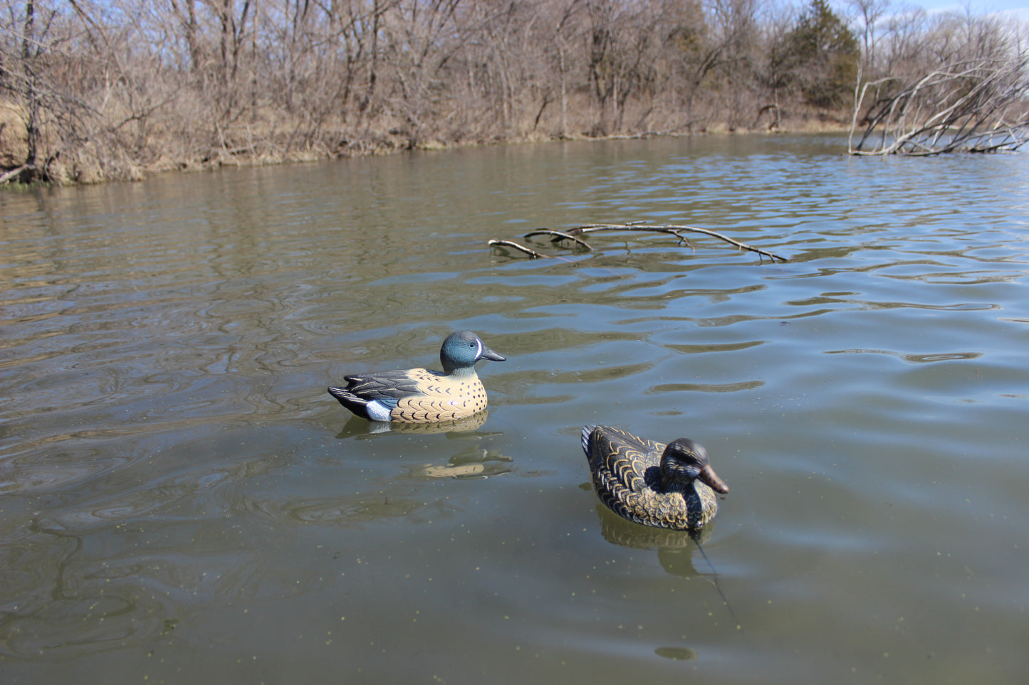 Super Blocks Bluewing Teal Floaters - 12 pack