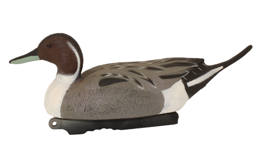 Super Blocks Pintail Drake