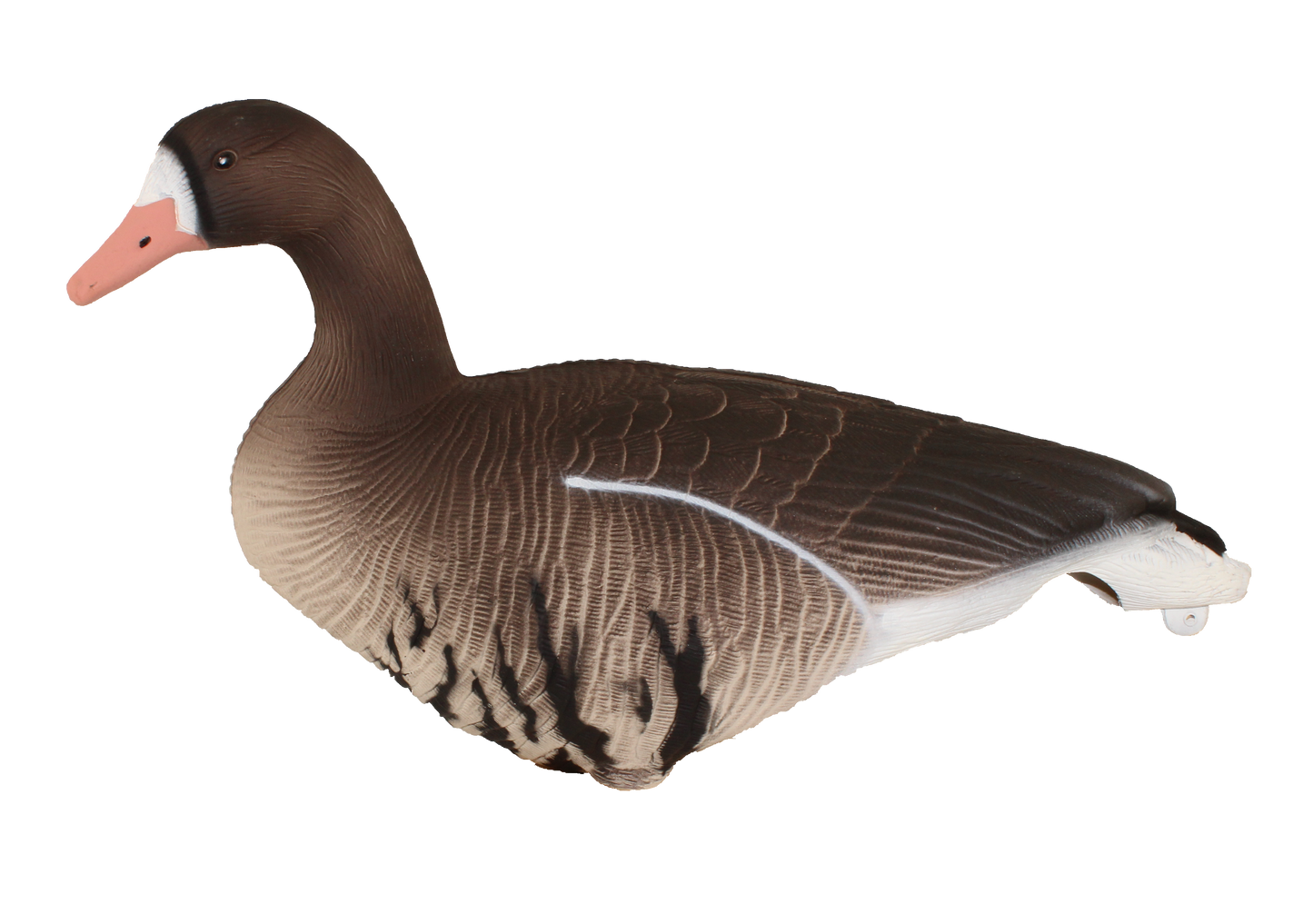 Super Blocks Specklebelly Full Body EVA - 12 pack – Decoy Central