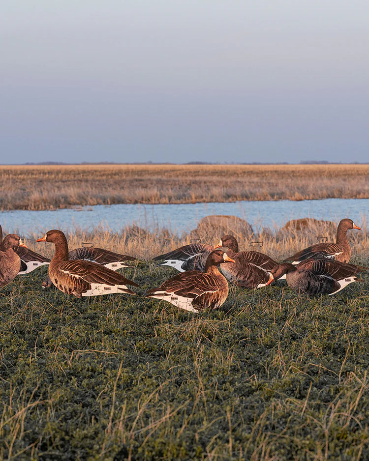 GHG Pro-Grade Speck Silhouette Decoys - 12 pack