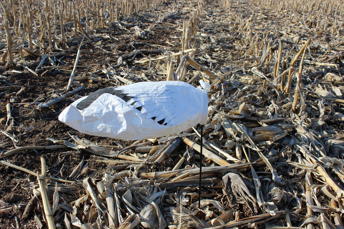 Super Socks Headless Snow Goose Socks 100 pack Decoy Central