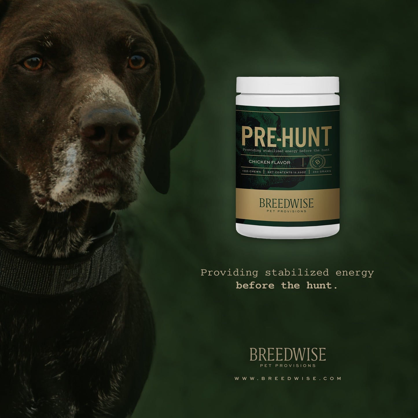 Breedwise Pre & Post-HUNT Soft Dog Chews -  Bundle