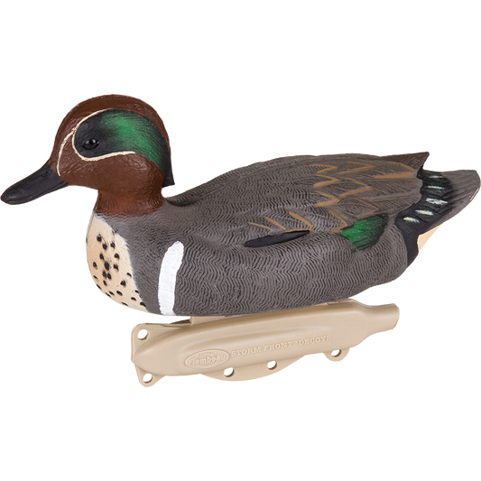 Storm Front 2 Greenwing Teal - 6 Pack