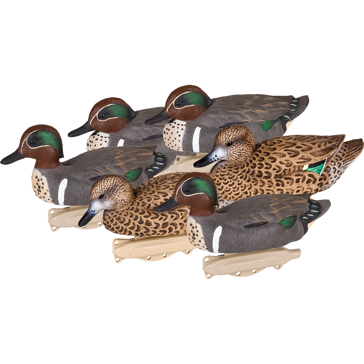 Storm Front 2 Greenwing Teal - 6 Pack