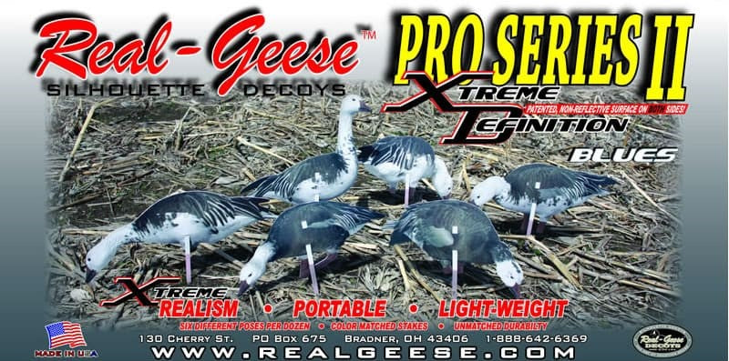 Pro Series II Blue Goose Silos